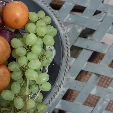 Alma Libre Dom wakacyjny